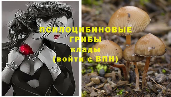 хмурый Нефтегорск