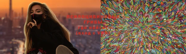 ГАЛЛЮЦИНОГЕННЫЕ ГРИБЫ Надым