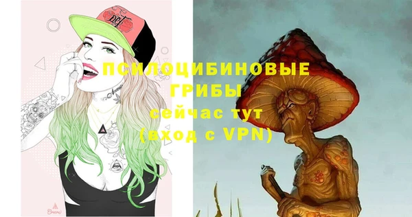ГАЛЛЮЦИНОГЕННЫЕ ГРИБЫ Надым
