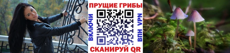 Купить где  Горячеводский  Псилоцибиновые грибы прущие грибы 